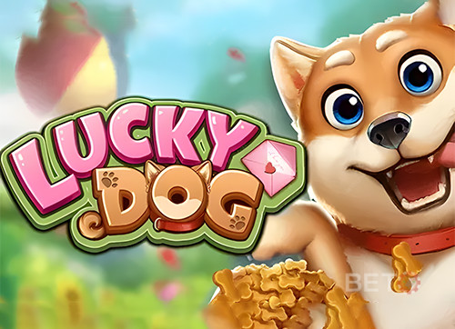 Lucky Dog