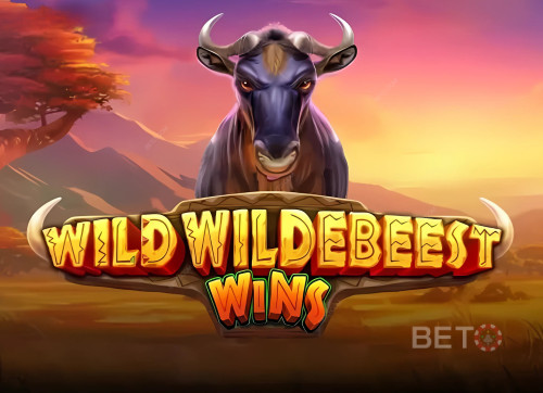 Wild Wildebeest Wins