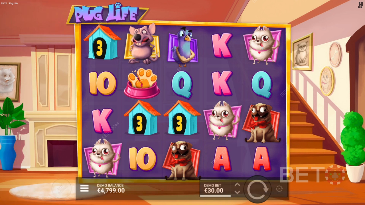 Pug Life Anmeldelse av BETO Slots