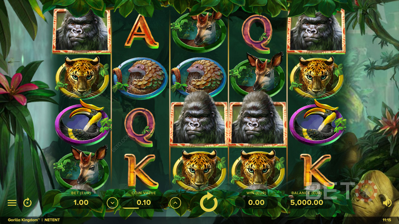 Få høyt betalende Gorilla-symboler i Gorilla Kingdom