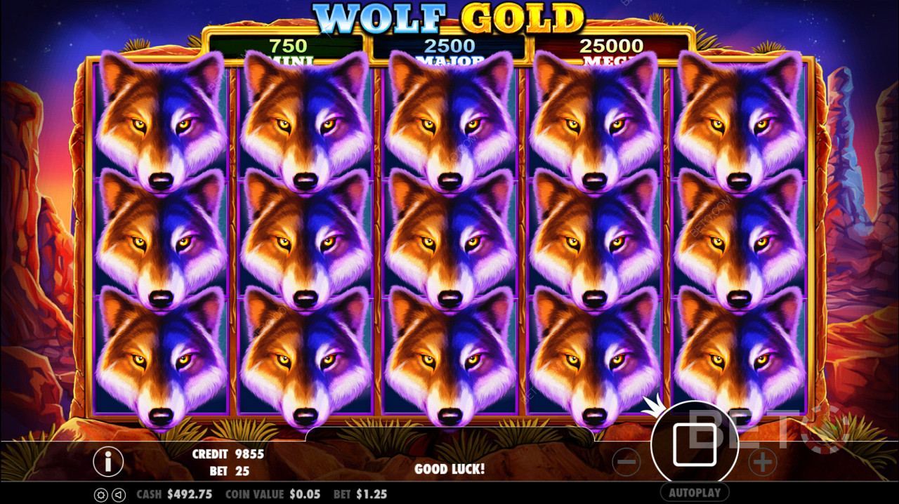 Wolf Gold Scatter-symbolet utløser gratisspinn-runden