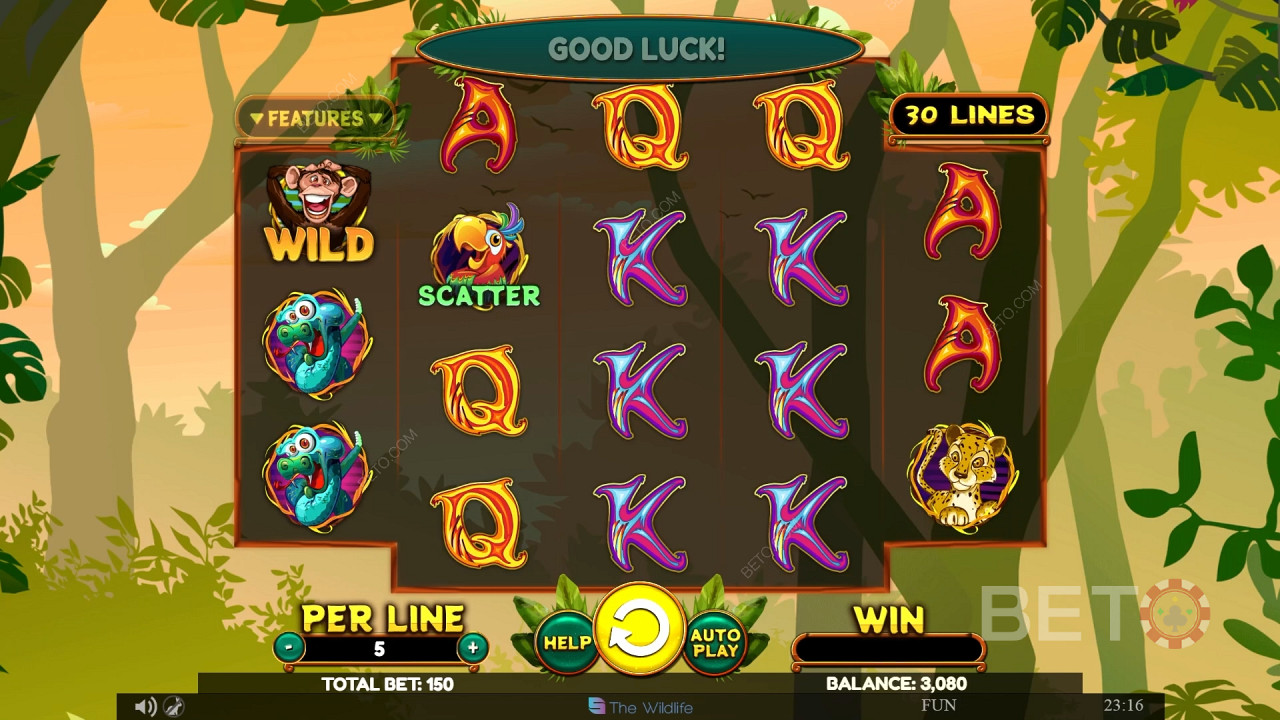 Wacky Monkey Spill Gratis