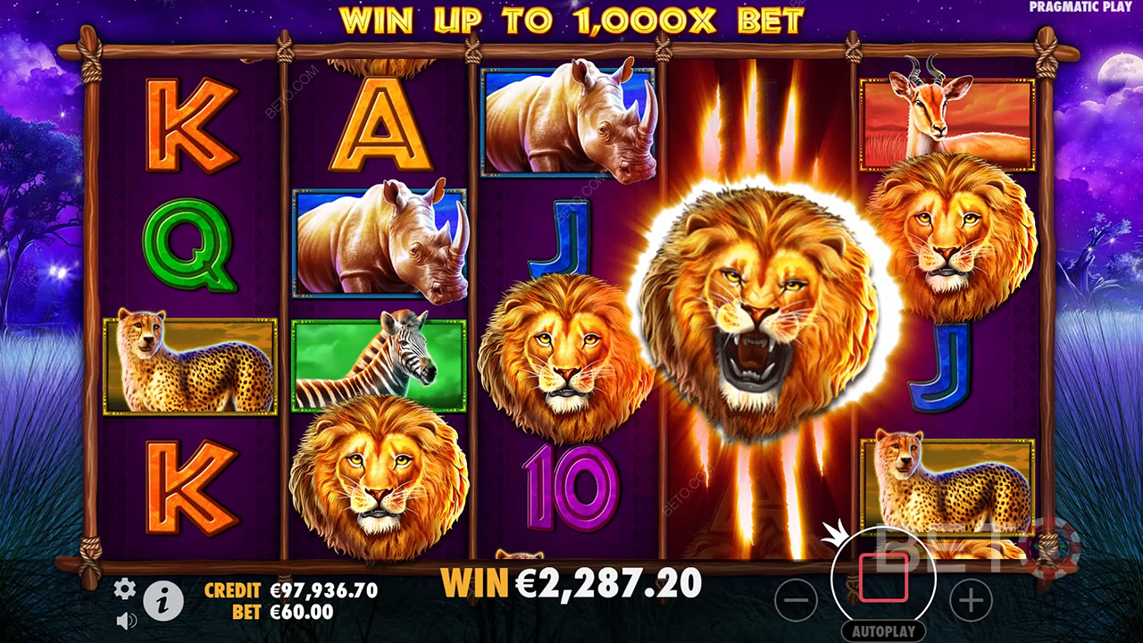 Safari King (Pragmatic Play)  Spill Gratis