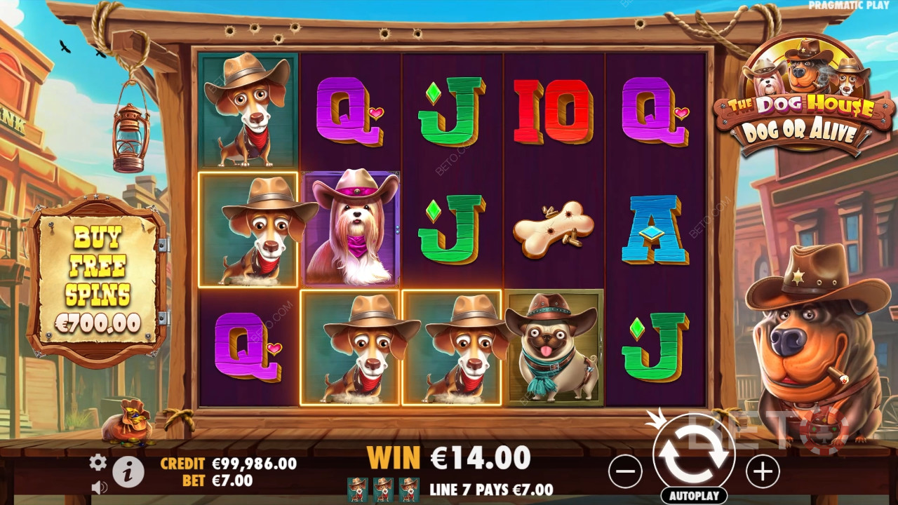 Tema og design: Wild West Dogs