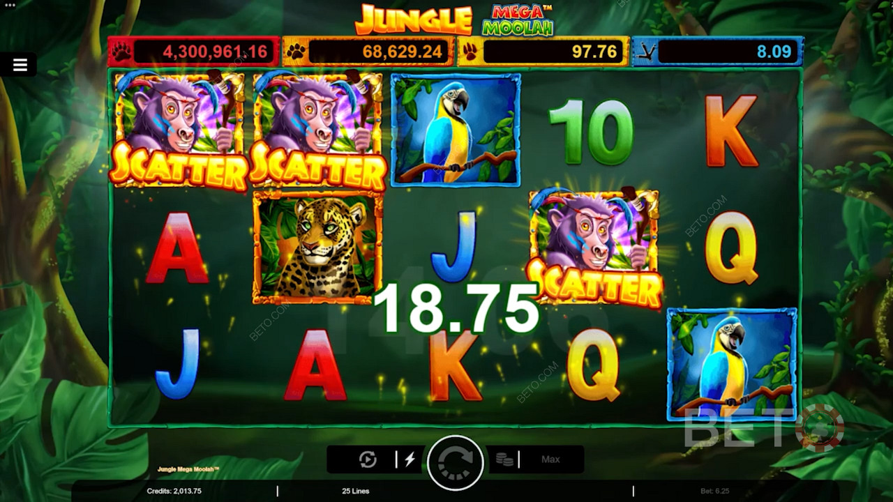 Land 3 Monkey Scatter for å utløse gratisspinn i Jungle Mega Moolah online spilleautomat