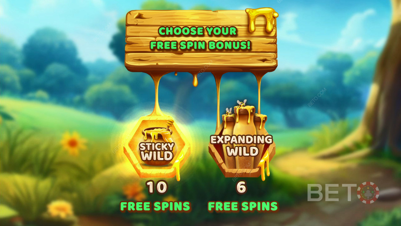Tema og design: Bee Adventure Quest