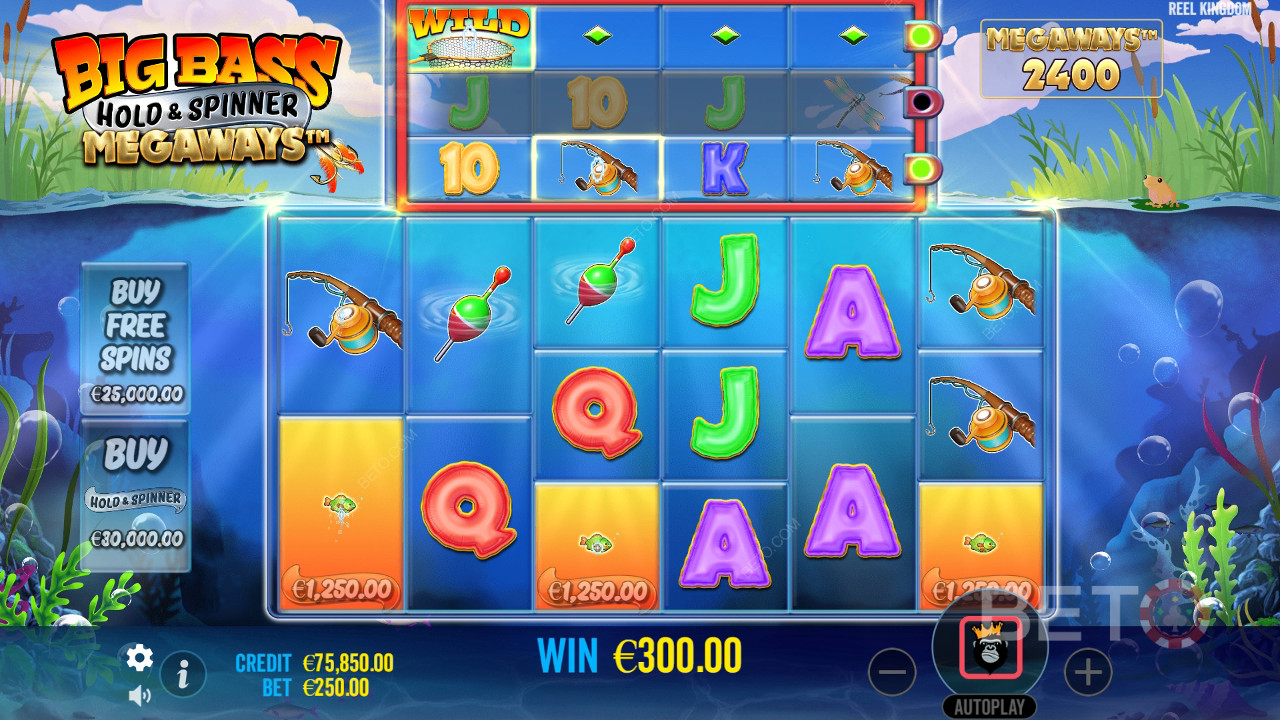 Slik spiller du Reel Kingdom