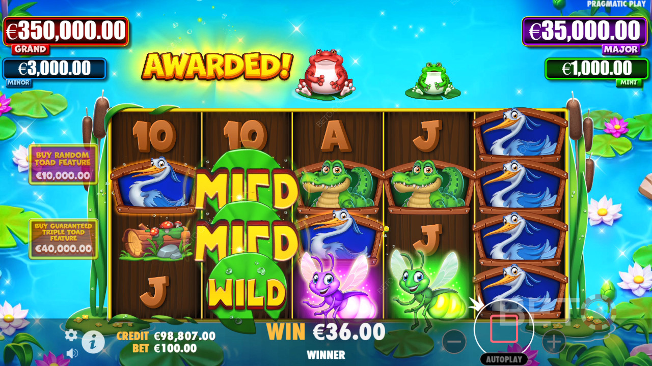 Tiny Toads Anmeldelse av BETO Slots