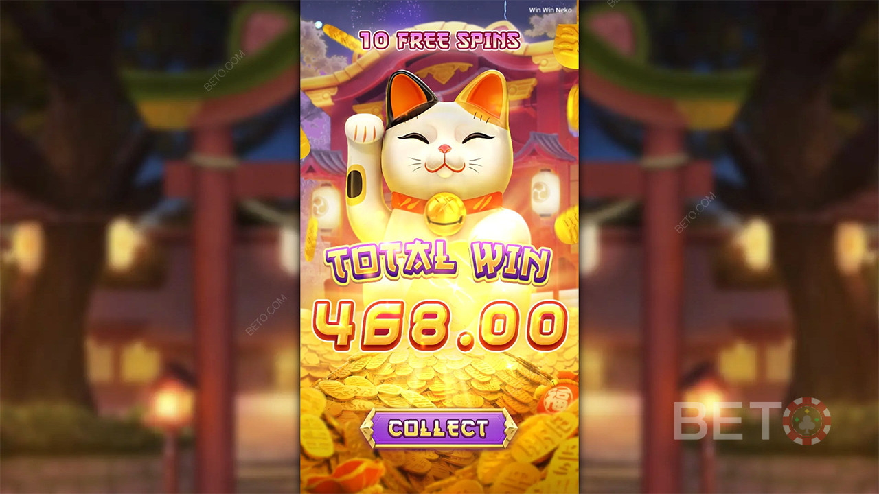 Win Win Neko - ja eller nei