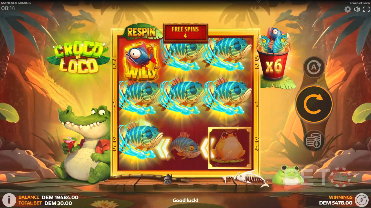 Croco el Loco Spill Gratis