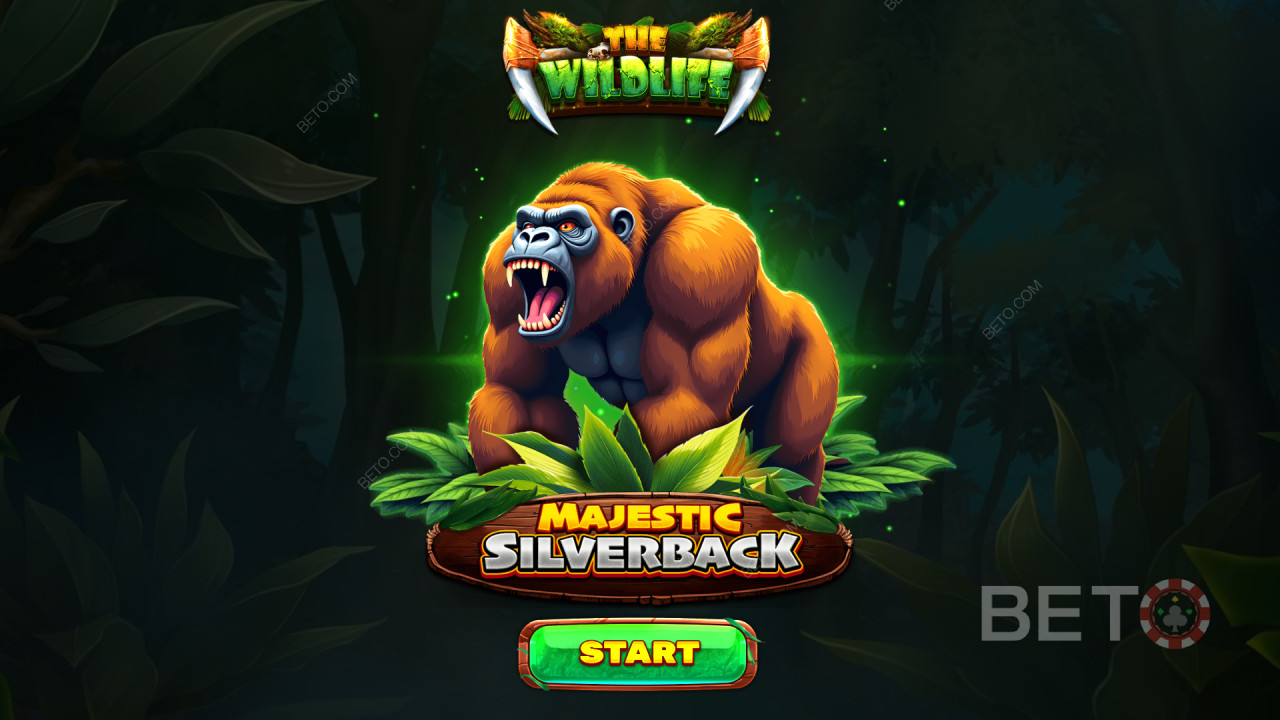 Bonusfunksjoner forklart i Majestic Silverback av Spinomenal