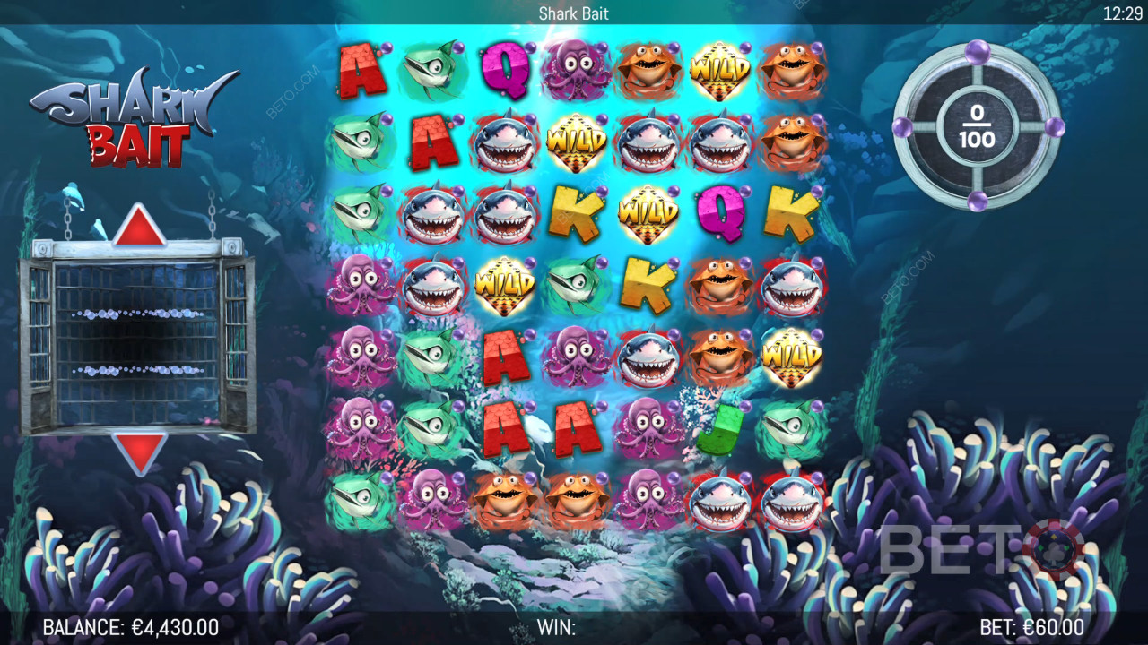 Bonusfunksjoner forklart i Shark Bait av Hungry Bear