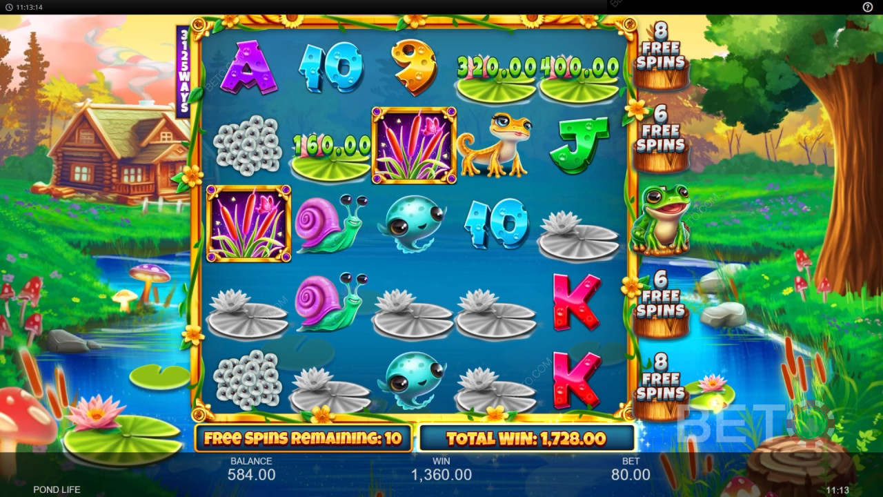 Bonusfunksjoner forklart i Pond Life av Inspired Gaming