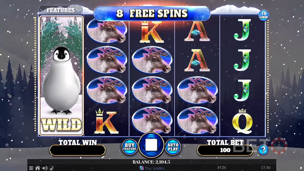 Wild Penguin Anmeldelse av BETO Slots