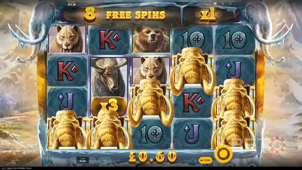 Wild Tundra Anmeldelse av BETO Slots