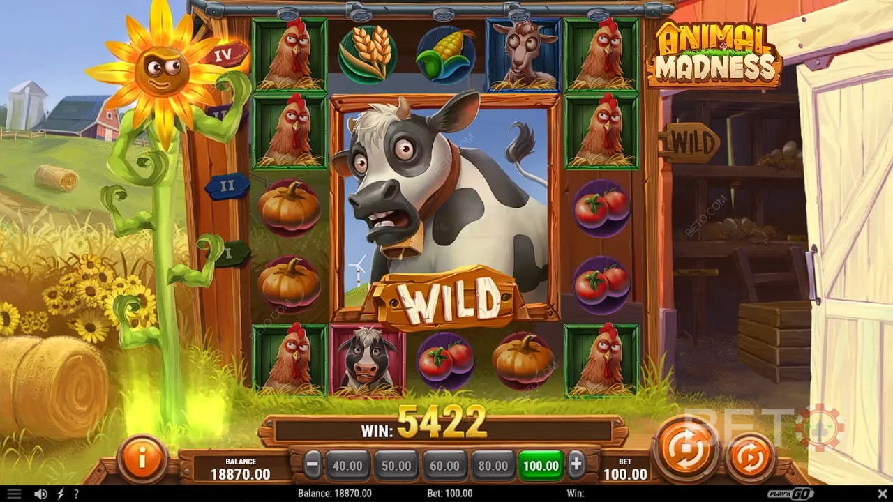 Animal Madness Anmeldelse av BETO Slots