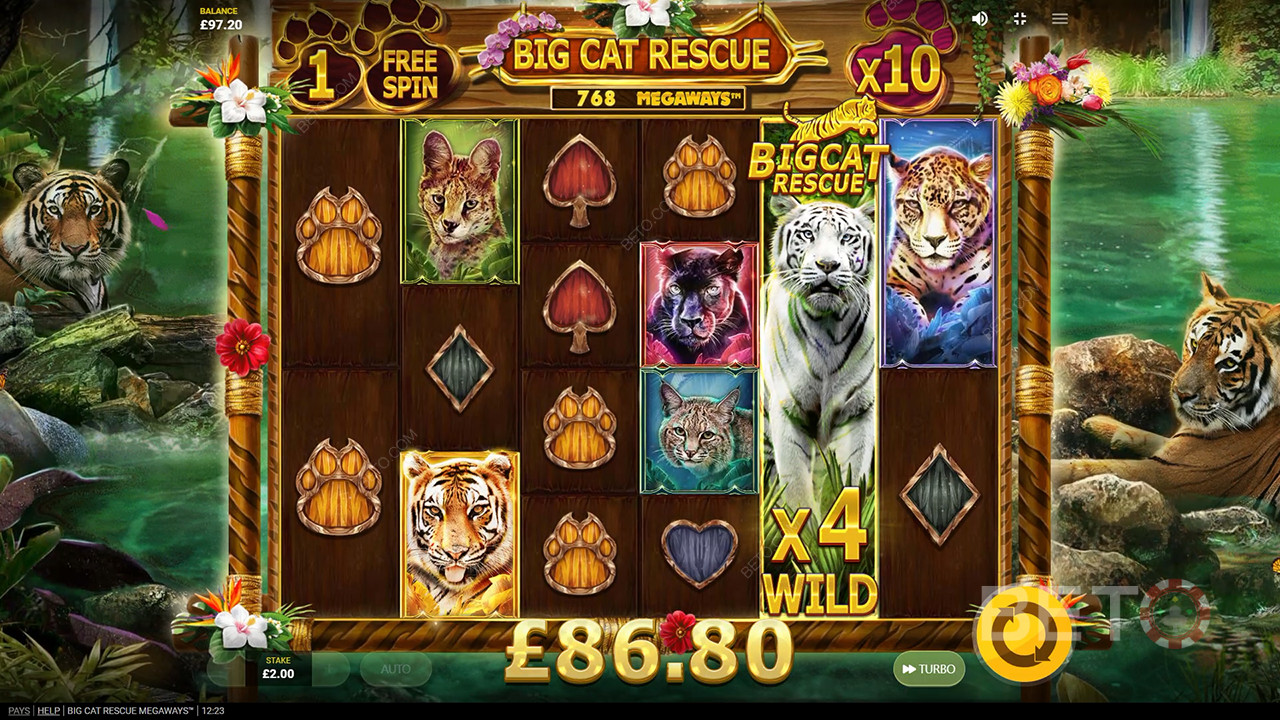 Big Cat Rescue Megaways Anmeldelse av BETO Slots