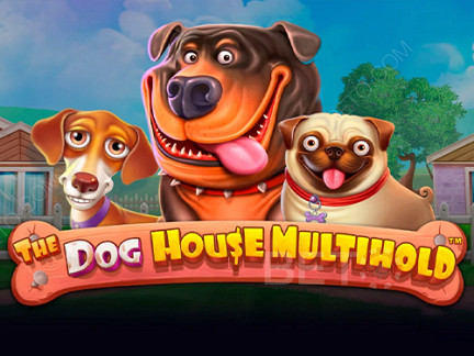 The Dog House Multihold Demo