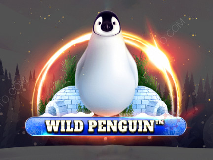 Wild Penguin Demo