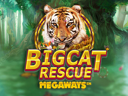 Big Cat Rescue Megaways Demo